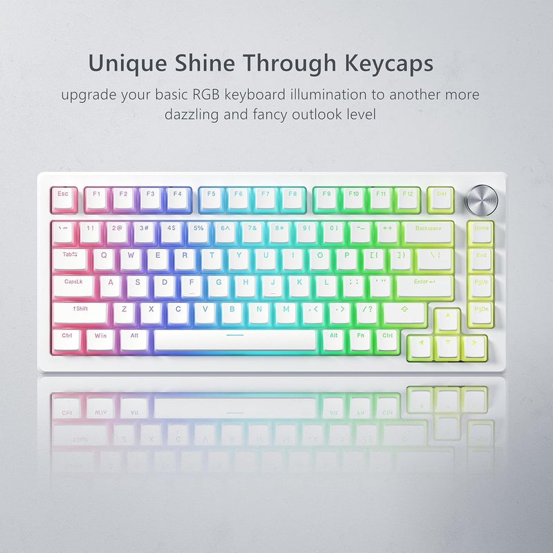 Womier Pudding Keycaps, White PBT Keycaps 60 65 75 100 Percent, 130 Keys Shine Through Key Cap OEM Profile for MX-stem Switches Keyboard-White - Image 4